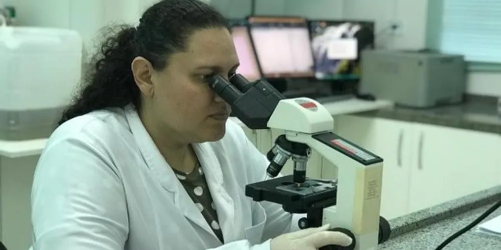 A média é de 589 exames e mais de 700 pessoas atendidas por dia