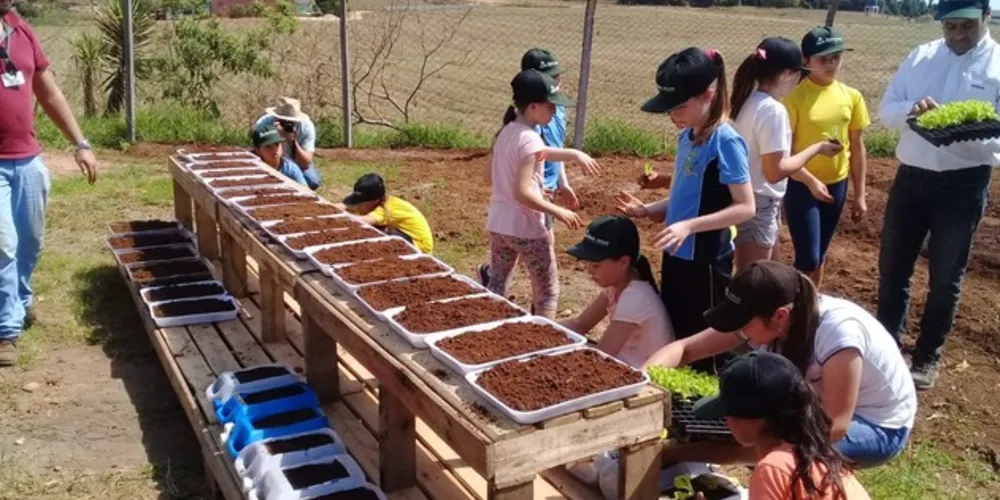 Dentro das diversas tarefas foram realizadas a planta de uma horta e pomar