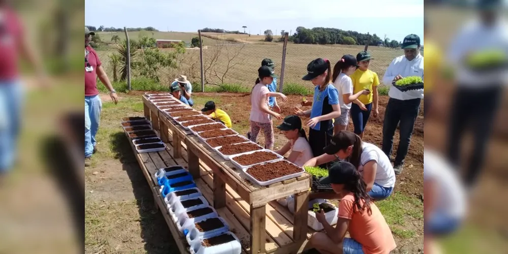 Dentro das diversas tarefas foram realizadas a planta de uma horta e pomar