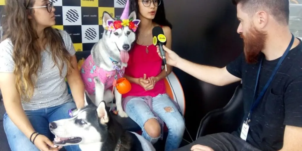 Imagem ilustrativa da imagem Amigão PetShop promove 1º HuskyWeen