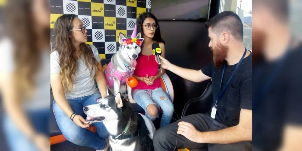 Imagem ilustrativa da imagem Amigão PetShop promove 1º HuskyWeen