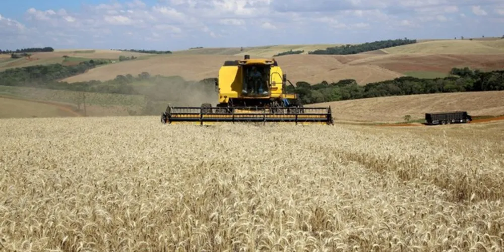 É quase um milhão de toneladas de cereais a mais produzidos no Estado, segundo levantamento do Departamento de Economia Rural (Deral), da Secretaria de Estado da Agricultura e Abastecimento, relativo ao mês de outubro

