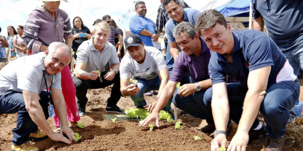 Projeto é desenvolvido através de ação integrada entre Companhia de Habitação de Ponta Grossa (Prolar), Secretaria Municipal de Agricultura, Pecuária e Abastecimento, em parceria com a Copel