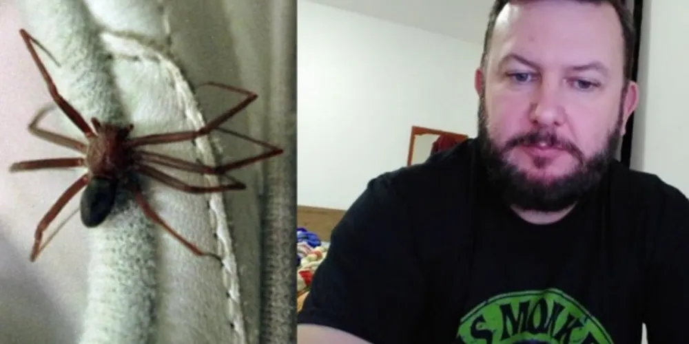 Uma aranha marrom e a vítima, Luciano Marchioro