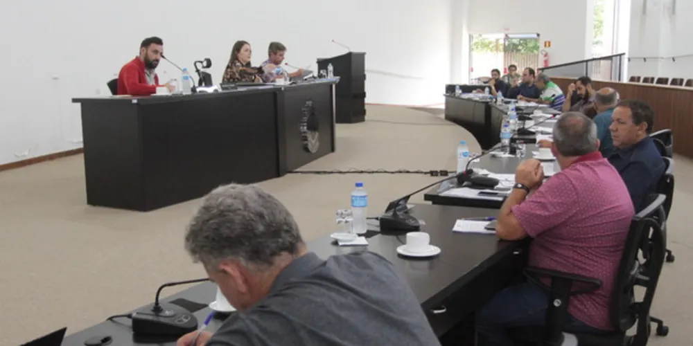 Em primeira discussão, foram aprovados os princípios e diretrizes para o desenvolvimento sustentável de Castro 