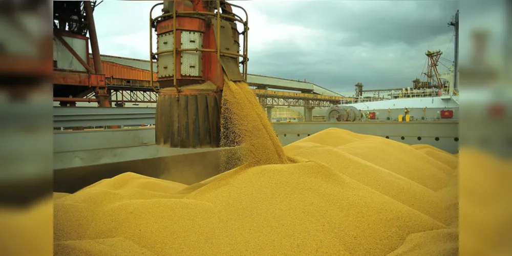 A soja e seus derivados correspondem a 80% das exportações ponta-grossenses