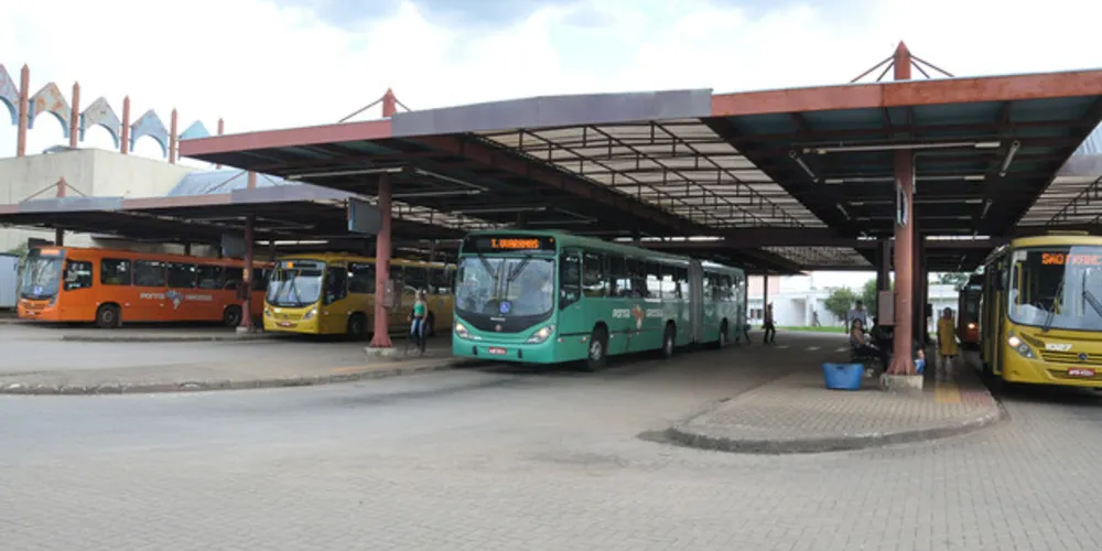O animal foi atropelado pelo condutor da linha Jardim Paraíso ao sair do terminal