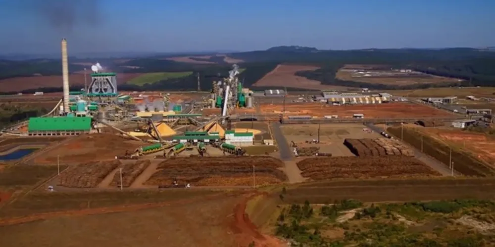 Imagem ilustrativa da imagem Investimento da Klabin gerará 1,5 mil vagas até dezembro