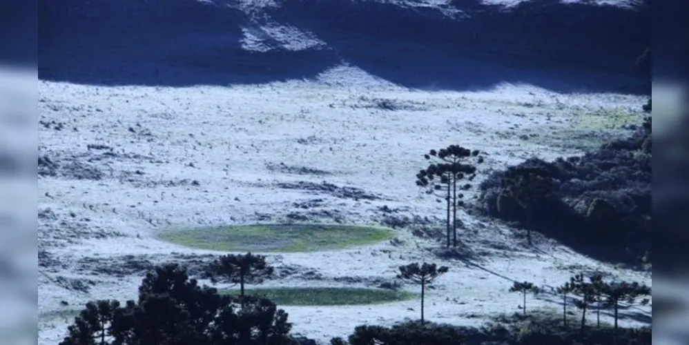 Imagem ilustrativa da imagem A um mês do verão, cidade de SC amanhece com geada