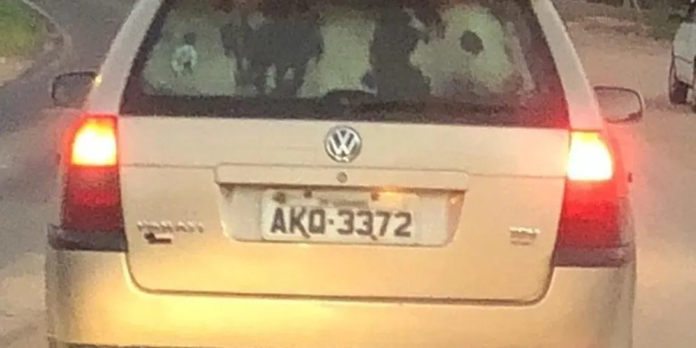 O transporte foi feito por uma Volkswagen Parati e o animal era um bezerro