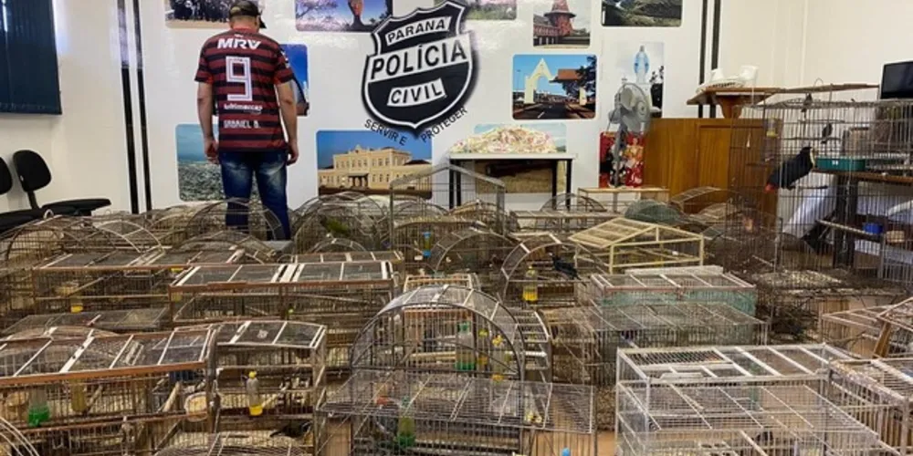 Segundo informações, o rapaz comercializava os animais