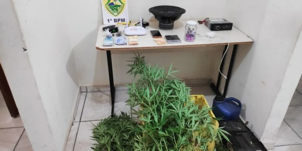 Material apreendido pela Polícia Militar foi encaminhado à delegacia para perícia