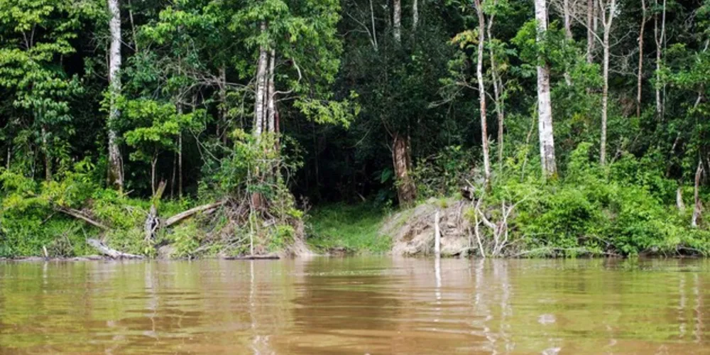 A Amazônia Legal corresponde a 59% do território brasileiro e engloba a totalidade de oito estados (Acre, Amapá, Amazonas, Mato Grosso, Pará, Rondônia, Roraima e Tocantins), além de parte do Maranhão