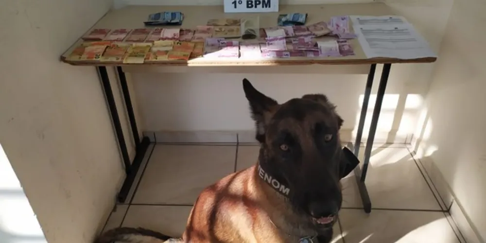 Venom ajudou a polícia a encontrar drogas escondidas na residência
