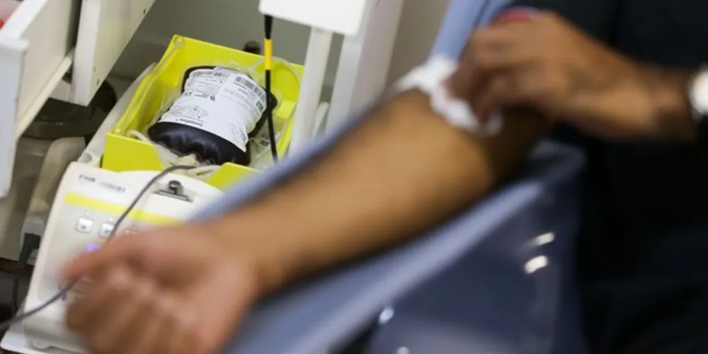 Dia 25 de novembro é lembrado como o Dia Nacional do Doador de Sangue