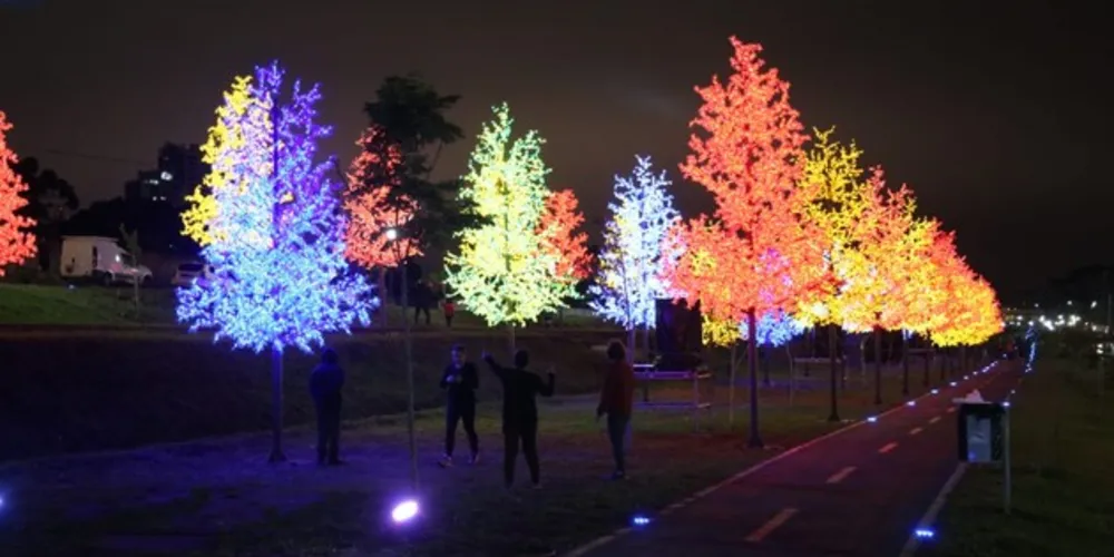 O Bosque de Luz funcionará como decoração ao longo de todo o período que antecede o Natal