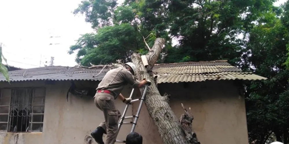 Apesar do susto e da complexidade dos trabalhos, ninguém ficou ferido