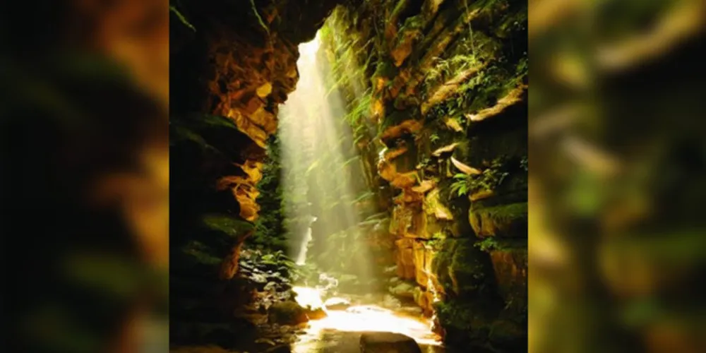 O livro é resultado de 10 anos de pesquisas no mundo subterrâneo e desconhecido de Ponta Grossa