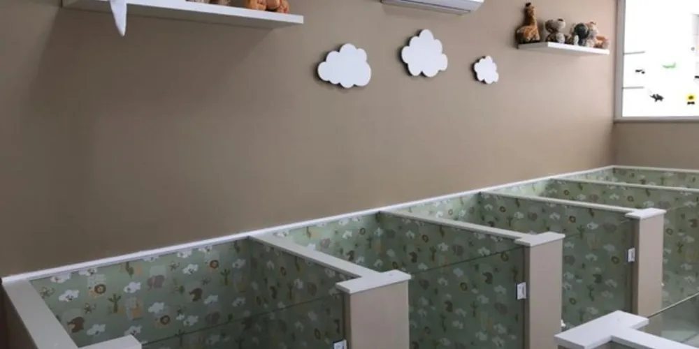  A sala é climatizada e há um revezamento para passeio na área verde com acompanhamentos dos profissionais