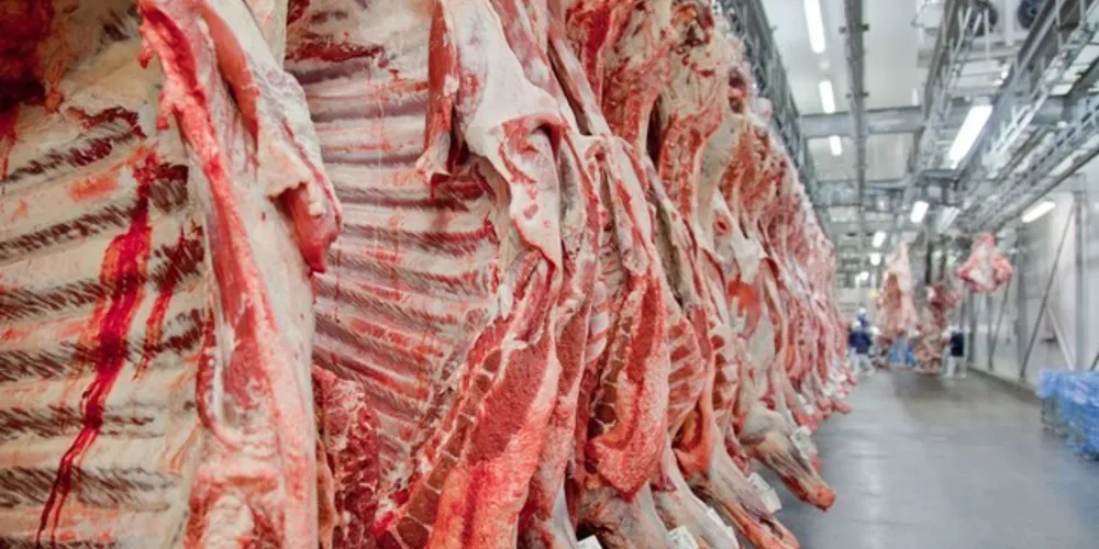 De acordo com a Abiec, os resultados são reflexo do crescimento da demanda chinesa, que responde por 24,5% do total exportado pelo Brasil.