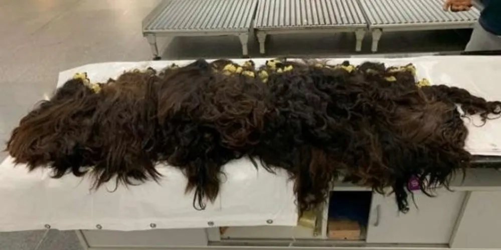 Cabelos foram comprados no Paraguai seriam vendidos em São Paulo, segundo o passageiro