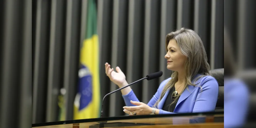 "Castro é a minha terra, tenho priorizado ajudar o desenvolvimento da cidade em meu mandato", afirmou Aline.