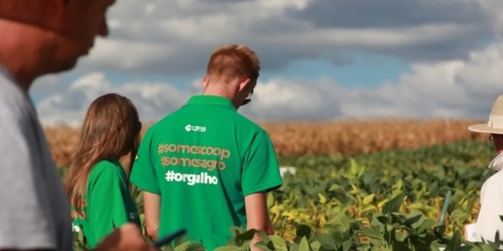 Com R$ 1.422 bilhão em faturamento no ano passado, ela cresceu 18% sobre 2017, a maior variação em quase 60 anos de história