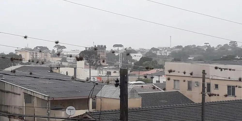 Chuva deve ser intensa durante todo o dia, com possibilidade de temporal à tarde