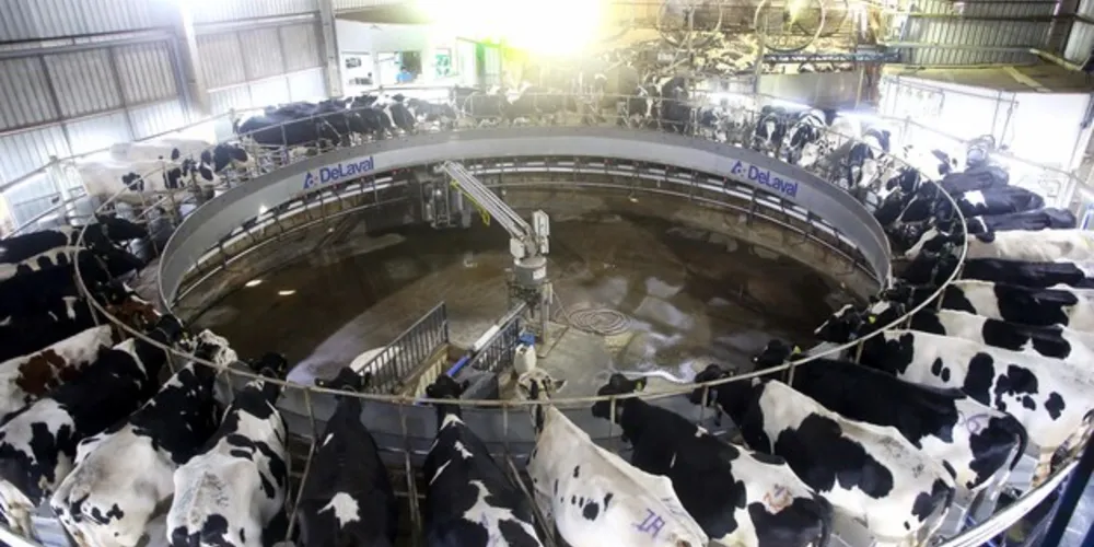 Imagem ilustrativa da imagem IBGE destaca Paraná na produção de proteínas