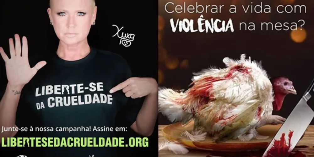 Xuxa é vegana e defensora da causa animal