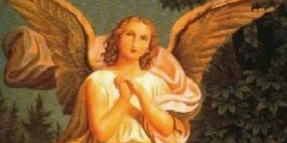 Imagem ilustrativa da imagem Anjos de janeiro: Dia 2