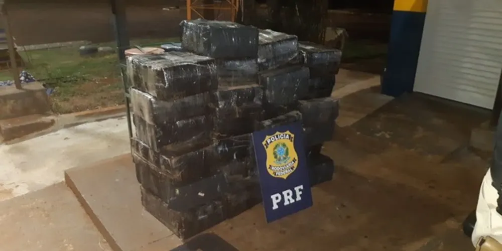 No total, foram apreendidos 597 quilos de maconha