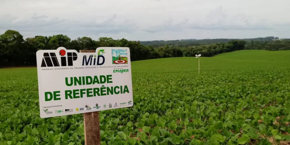 Imagem ilustrativa da imagem Sistema Alerta Ferrugem reduz aplicação de fungicida