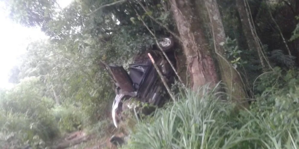 Imagem ilustrativa da imagem Carro sai da pista e bate contra árvore na BR-376