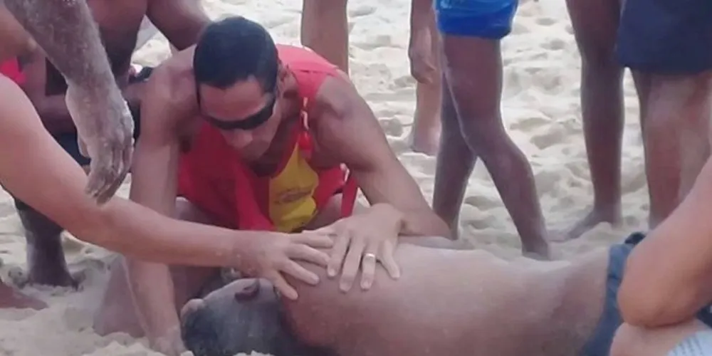 Adolescente foi resgatado de helicóptero pelos bombeiros e está em estado grave
