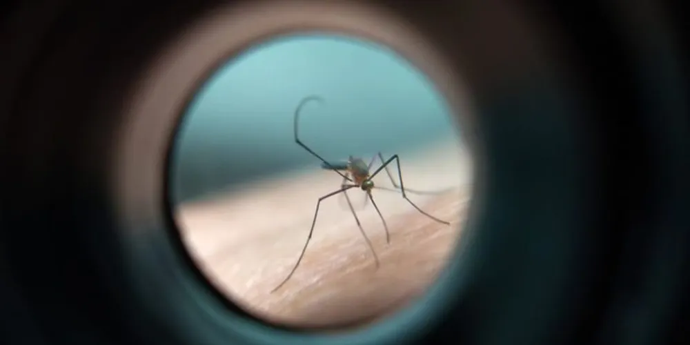 A vacina deve ser recebida pelo bebê aos nove meses de idade. A partir deste ano, Ministério da Saúde está indicando uma nova dose para a criança aos quatro anos.