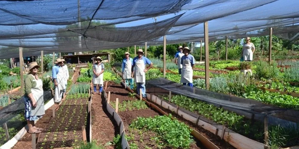Já são 15 mil metros quadrados com nova paisagem e mais de 120 famílias atendidas, em Cascavel, Maringá e Ponta Grossa