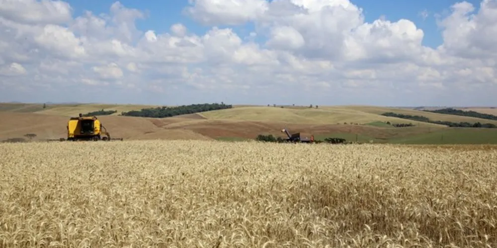 Reforma busca tornar a agricultura paranaense cada vez mais competitiva