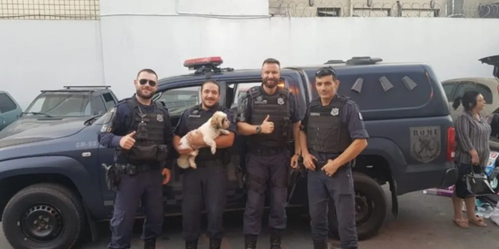 Animal foi encontrado pouco tempo depois do crime e três pessoas foram presas