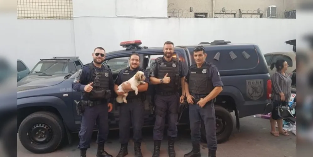 Animal foi encontrado pouco tempo depois do crime e três pessoas foram presas