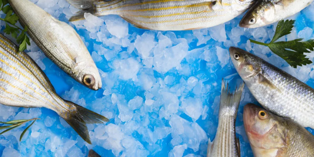 O calor propicia a multiplicação de bactérias e outros microrganismos e a produção de toxinas que podem contaminar os alimentos e a água. 