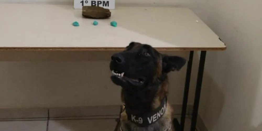 Venon ajudou polícia a encontrar tablete de 400 gramas de maconha em residência