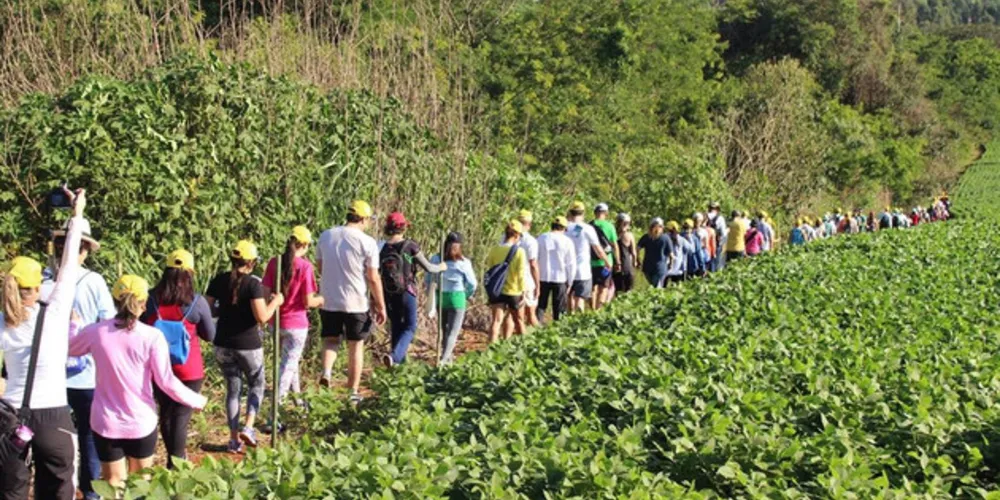 No ano passado, cerca de 70 mil caminhantes participaram dos trajetos no Paraná.