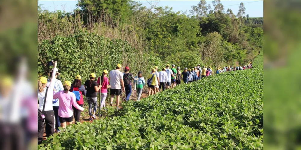 No ano passado, cerca de 70 mil caminhantes participaram dos trajetos no Paraná.