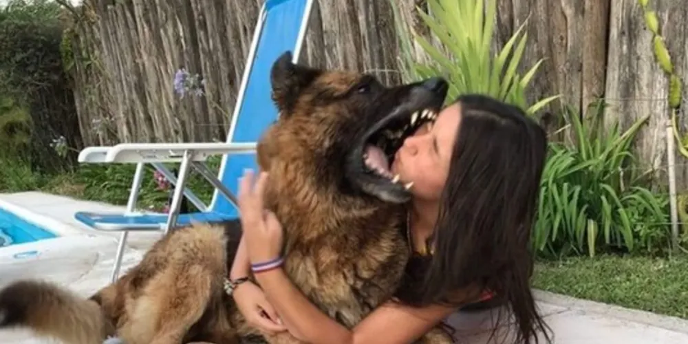 A tentativa das selfies resultou no stress do animal que mordeu o rosto da garota