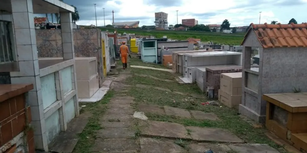 Limpeza total pode levar de cinco a dez dias pela extensão das áreas