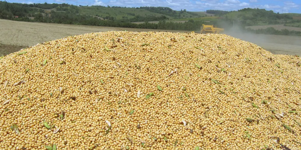 Foram destaques nas exportações do agronegócio paranaense no ano passado o complexo soja, o milho e as carnes