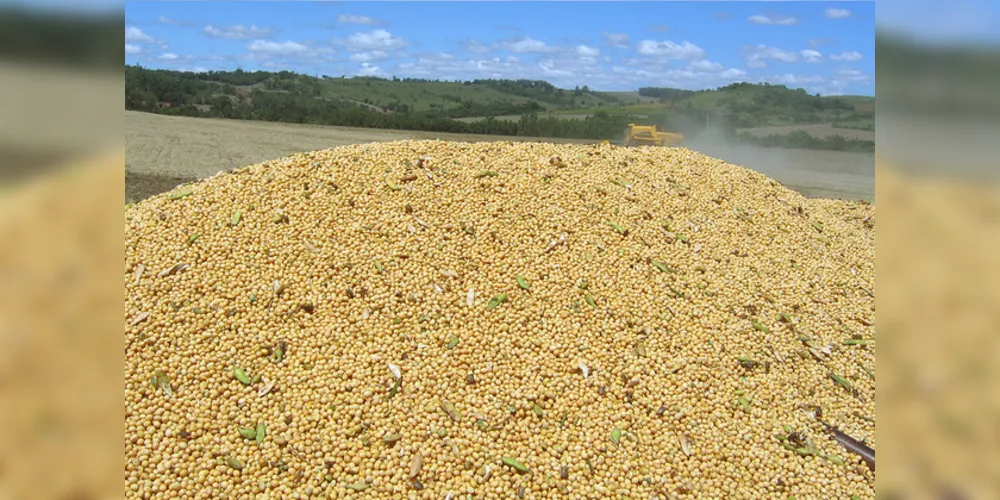 Foram destaques nas exportações do agronegócio paranaense no ano passado o complexo soja, o milho e as carnes