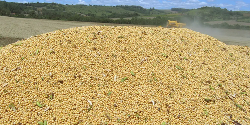 Imagem ilustrativa da imagem Soja de PG representa 19,2% das exportações do Paraná