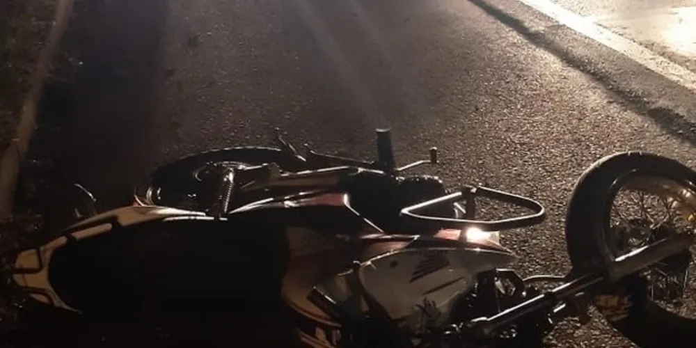 Imagem ilustrativa da imagem Motociclista morre após colidir com cavalo na BR-376